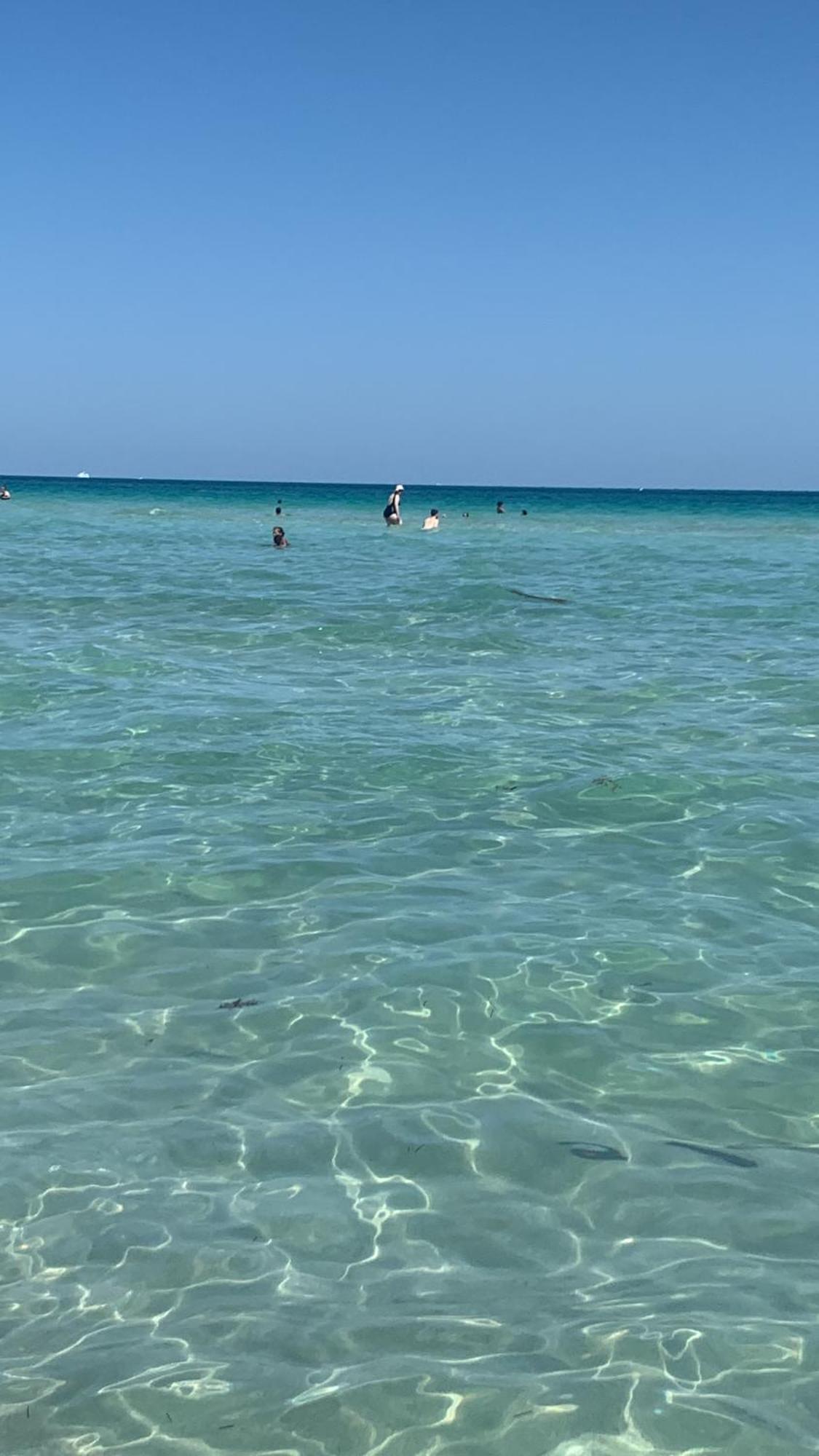 Porto Coda Cavallo Salina Bamba Capo Coda Cavallo